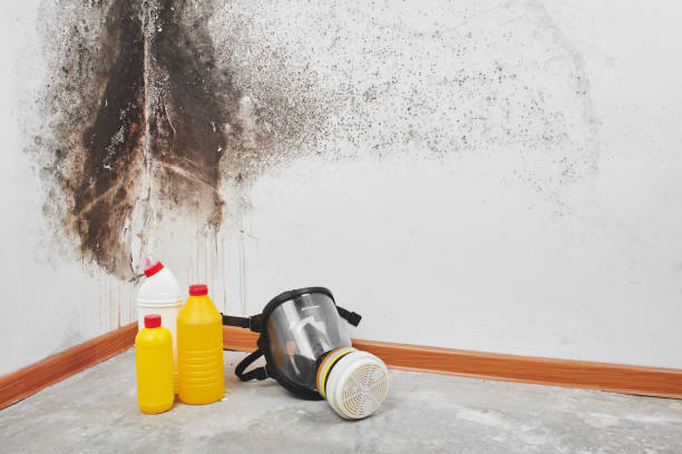 Best Professional Mold Removal  in Grandview, IL