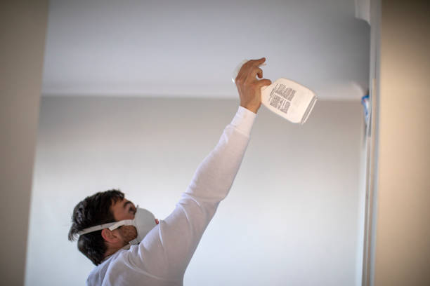 Best Mold Removal Near Me  in Grandview, IL
