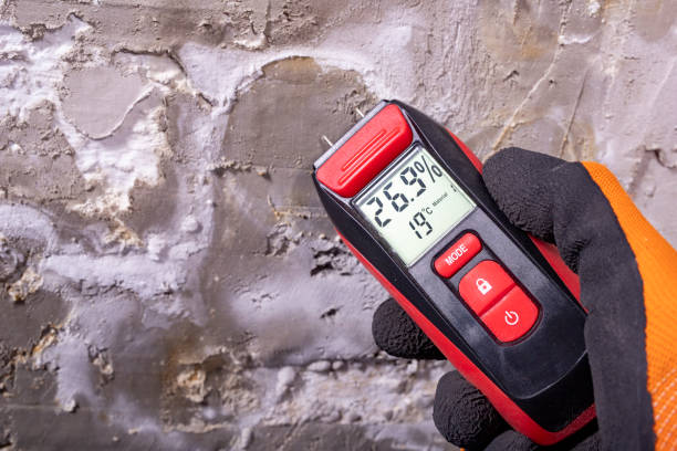Best Local Mold Removal Service  in Grandview, IL