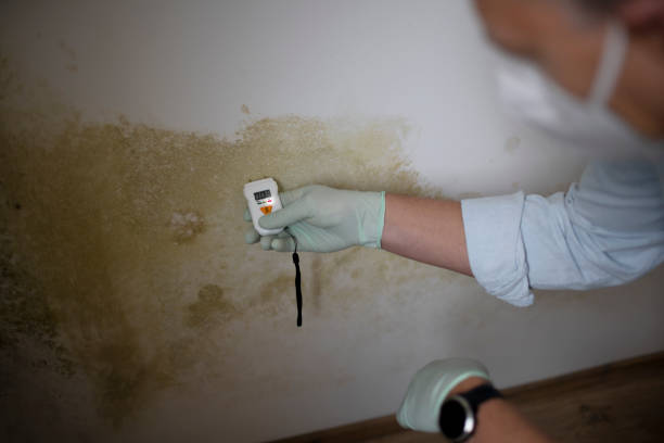 Best Mold Testing  in Grandview, IL
