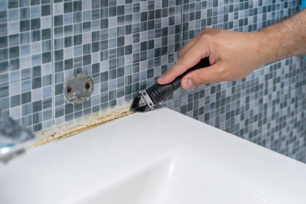  Grandview, IL Mold Removal Pros