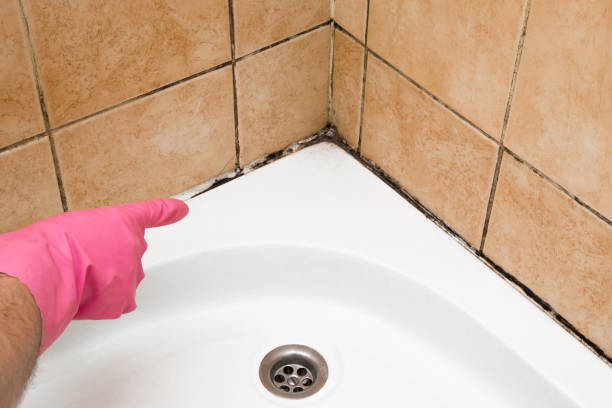 Best Mold Testing  in Grandview, IL